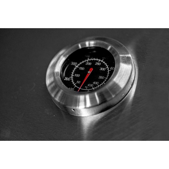 KeGrill Barbecue a gas in acciaio inox con pietra lavica 4 fuochi e piastra in ghisa