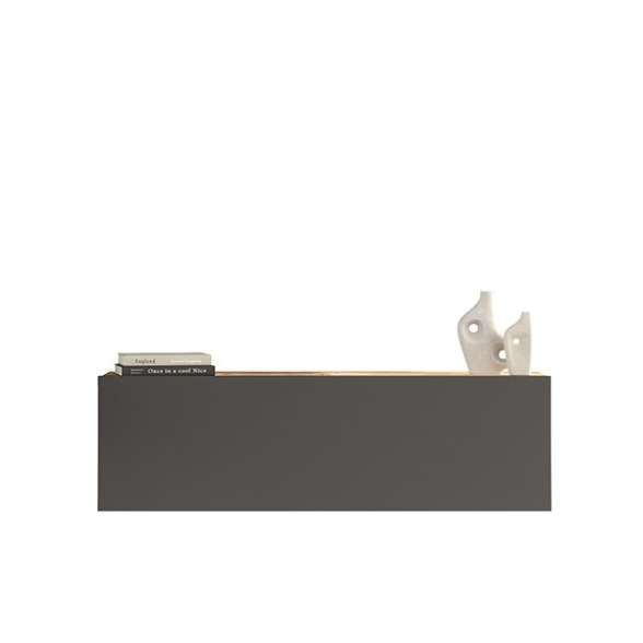 Mobile TV Sospeso 100 Cm 1 Anta Frontale Legno E Antracite Roy