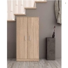 Armadio Scarpiera 2 Ante E 6 Ripiani 55x36x108 Effetto Legno Rovere