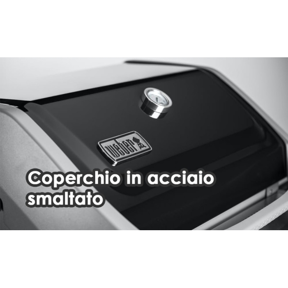 Barbecue A Gas Weber Spirit II E210 due bruciatori griglia GBS nero