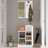 Mobile Ingresso 60 Cm Con Scarpiera Appendiabiti Specchio Cheri Bianco