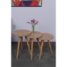 Set 3 Tavolini Decorativi Da Salotto Gambe Legno Aphrodite Rovere