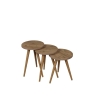 Set 3 Tavolini Decorativi Da Salotto Gambe Legno Aphrodite Rovere