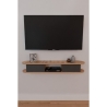 Mobile TV Sospeso 120 cm 2 Ante E Vano Omega Rovere E Antracite