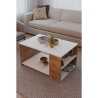 Tavolino Da Salotto Moderno 60x90 Vani Laterali Zeno Bianco e Rovere