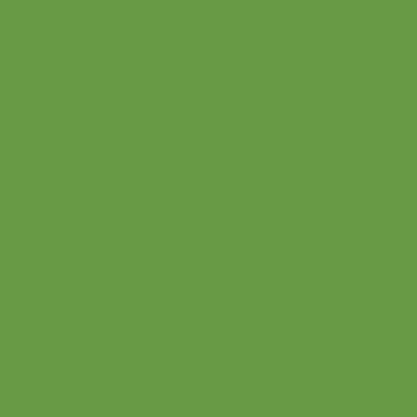 Camino a bioetanolo biocamino da terra colorato BELLINI Verde 96x35x97
