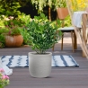 Vaso in resina cilindro d.35x34h Raffaello Beige