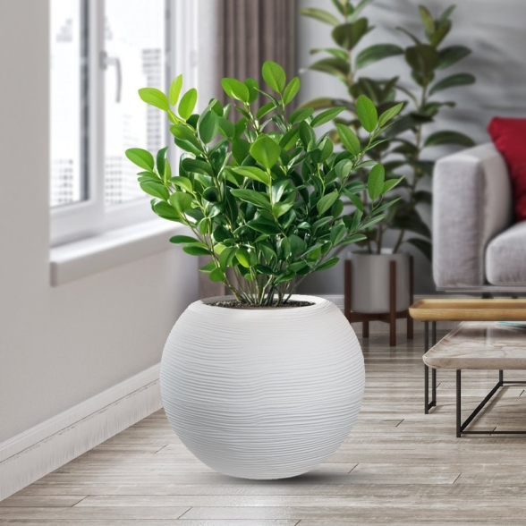 Vaso in resina tondo a sfera d.40x33h Botticelli Bianco