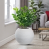 Vaso in resina tondo a sfera d.40x33h Botticelli Bianco