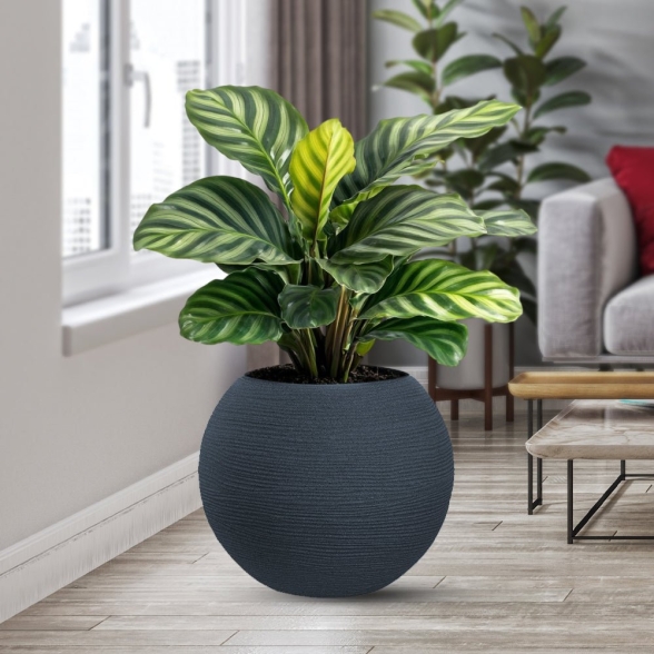 Vaso in resina tondo a sfera d.40x33h Botticelli Grigio