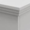 Camino a bioetanolo biocamino da terra WASHINGTON Bianco 11x43x99