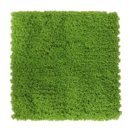 Siepe Artificiale Pannello 100x100cm Green