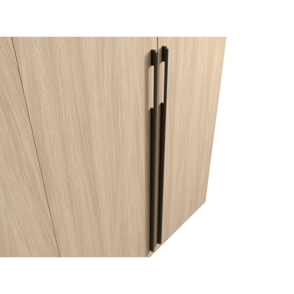 Armadio Ingresso 110x207h Cm 2 Ante Con Specchio Laterale Rovere Barcelona