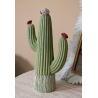 Cactus Cm 13X7X25 