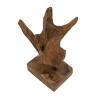 Scultura Akar In Teak Ric, Cm 20X11X34 Min 2