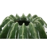 Vaso Cactus Ball Cm Ø 23,5X24,5