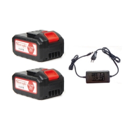 Kit 2 Batterie + Caricabatterie Per Abbacchiatore Sbaraglia