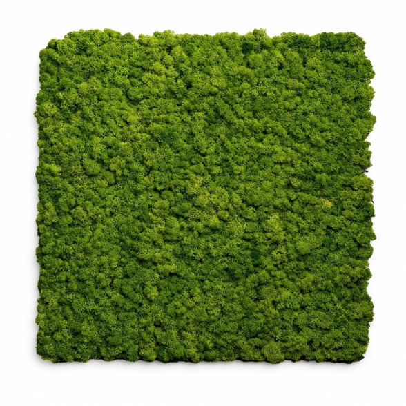 Pannello fonoassorbente Set 2 pz 60x60 cm effetto muschio sintetico