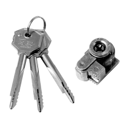 ISEO Cilindro di sicurezza 990 | Lovebrico.com