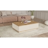 Tavolino Basso Da Salotto 90x60x28 Con Vani Interni Beige E Rovere Frame
