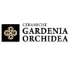 Gardenia Orchidea